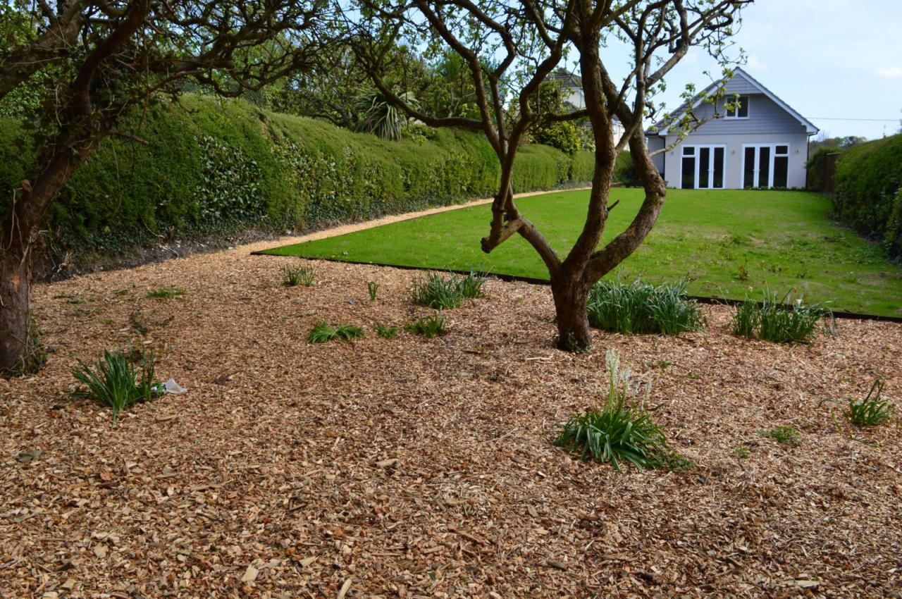 garden flower bed